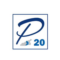 p-20-logo